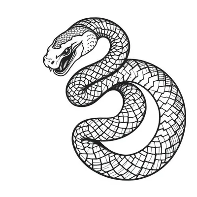 Snake Tattoo Ideas